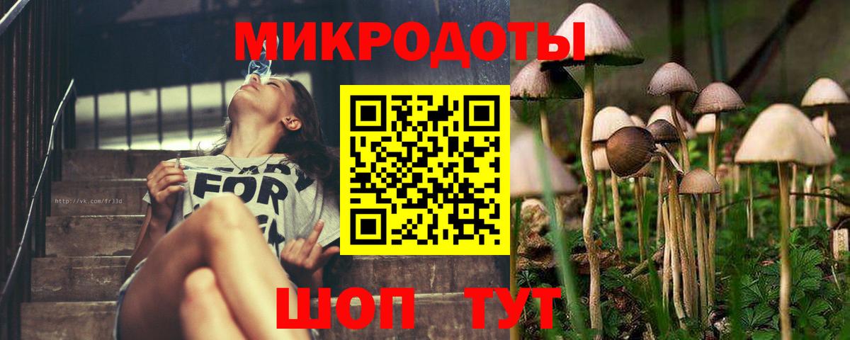 Галлюциногенные грибы мухоморы Обь